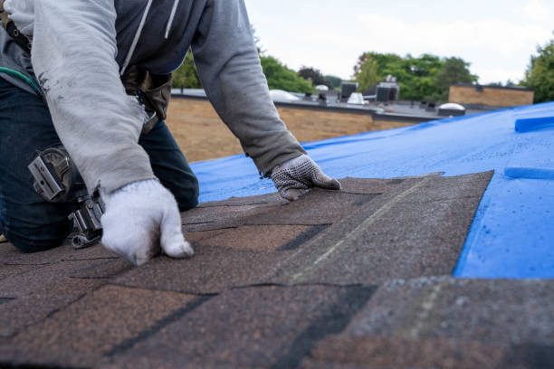 Best Storm Damage Roof Repair  in Arkwright, SC